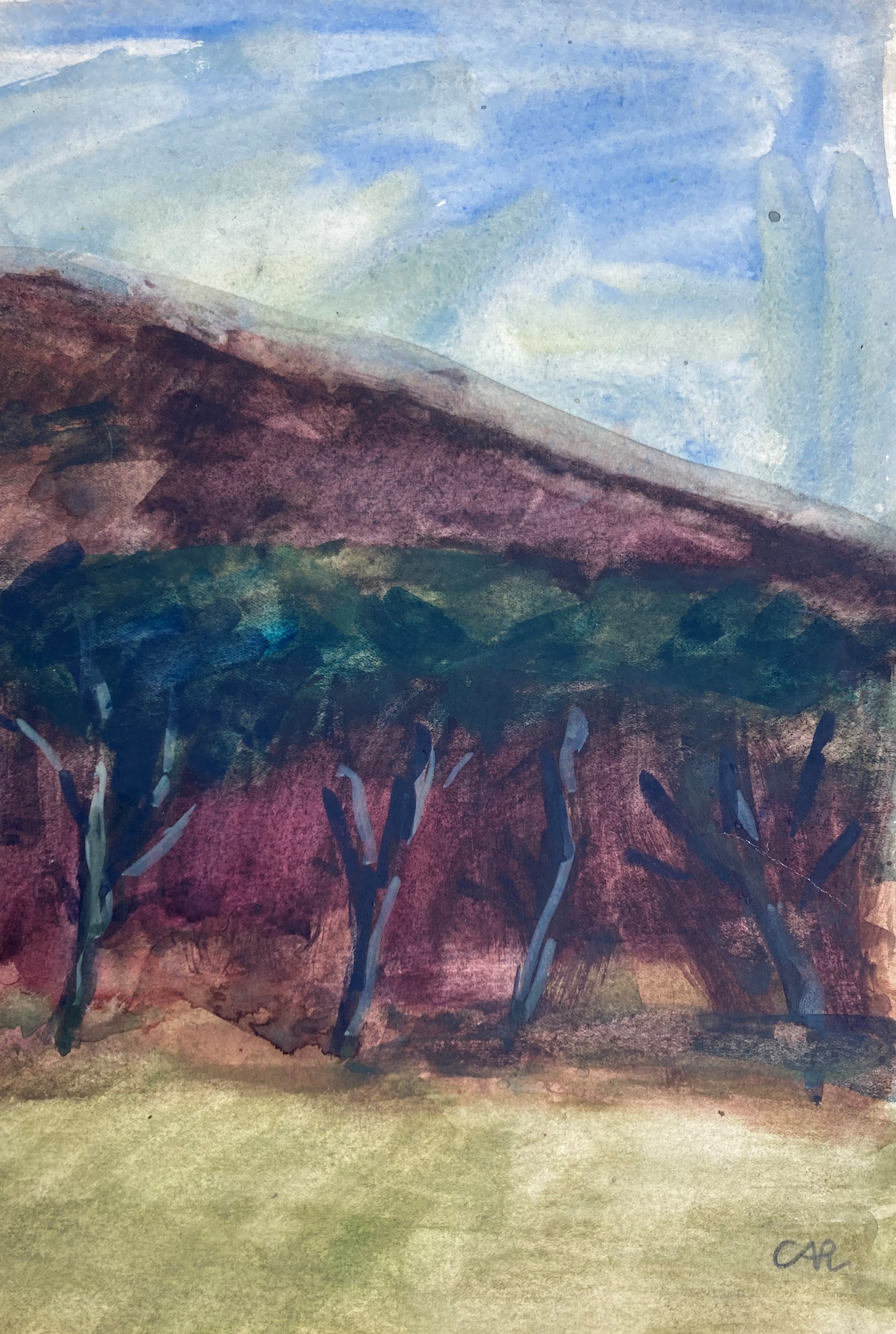 Dünenlandschaft auf Sylt